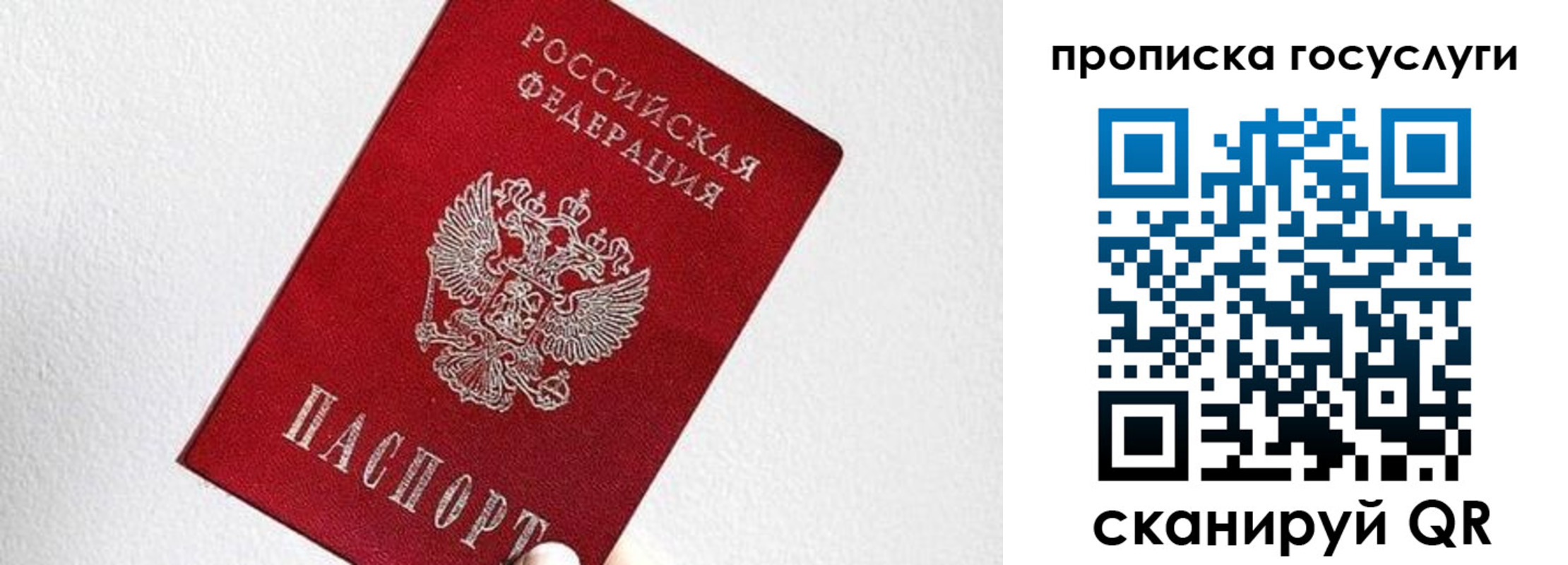 прописка законно в Торопеце